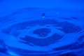 017-img_3198.jpg.small.jpeg