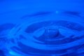 018-img_3228.jpg.small.jpeg