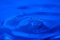 019-img_3245.jpg.small.jpeg