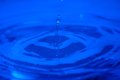 020-img_3249.jpg.small.jpeg