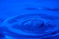 021-img_3265.jpg.small.jpeg