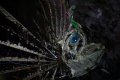 000-img_3774.jpg.small.jpeg