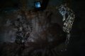 001-img_3775.jpg.small.jpeg