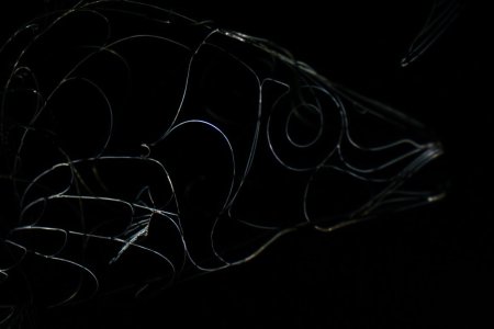 006-img_3817.jpg.medium.jpeg