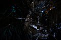 007-img_3838.jpg.small.jpeg