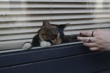 thumbnails/004-img_4027.jpg.small.jpeg