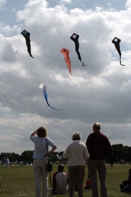 007-img_4177.jpg.medium.jpeg