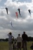 007-img_4177.jpg.small.jpeg