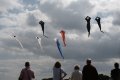 008-img_4179.jpg.small.jpeg