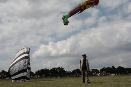 009-img_4185.jpg.medium.jpeg