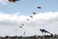 011-img_4195.jpg.small.jpeg
