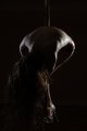 054-img_5578.jpg.small.jpeg