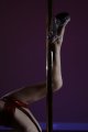 067-img_5458.jpg.small.jpeg
