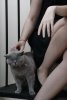 013-img_6272.jpg.small.jpeg