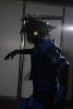 001-img_6411.jpg.small.jpeg