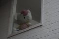 004-img_6418.jpg.small.jpeg