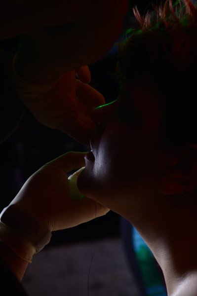 003-img_8874.jpg.medium.jpeg