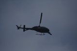110-img_1384.jpg.small.jpeg