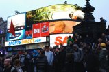 152-img_1671.jpg.small.jpeg