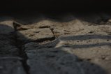 002-img_1893.jpg.small.jpeg