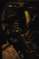 003-img_1899.jpg.small.jpeg