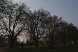 010-img_1938.jpg.small.jpeg