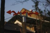 022-img_1979.jpg.small.jpeg