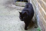 038-img_2456.jpg.small.jpeg