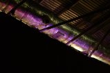 054-img_4461.jpg.small.jpeg