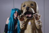 011-img_4536.jpg.small.jpeg