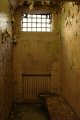 004-img_5392.jpg.small.jpeg