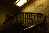026-img_5492.jpg.small.jpeg