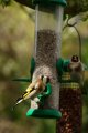 010-img_6662.jpg.small.jpeg