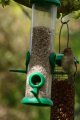 017-img_6706.jpg.small.jpeg