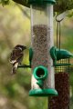 018-img_6711.jpg.small.jpeg