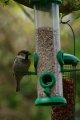 019-img_6712.jpg.small.jpeg