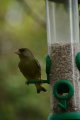 031-img_6820.jpg.small.jpeg