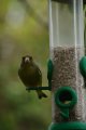 032-img_6824.jpg.small.jpeg