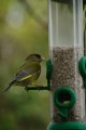 033-img_6826.jpg.small.jpeg