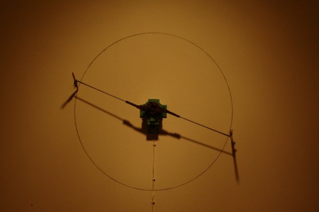 008-img_6480.jpg.medium.jpeg