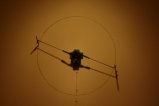 008-img_6480.jpg.small.jpeg