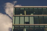 thumbnails/005-img_7760.jpg.small.jpeg