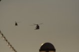 thumbnails/016-img_7893.jpg.small.jpeg
