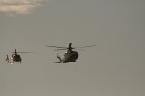 thumbnails/024-img_7944.jpg.small.jpeg