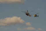 thumbnails/028-img_7966.jpg.small.jpeg