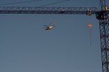 thumbnails/036-img_8058.jpg.small.jpeg