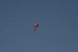 thumbnails/037-img_8073.jpg.small.jpeg
