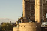 thumbnails/045-img_8130.jpg.small.jpeg