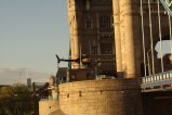 thumbnails/046-img_8141.jpg.small.jpeg