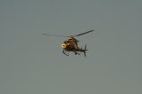 thumbnails/048-img_8163.jpg.small.jpeg